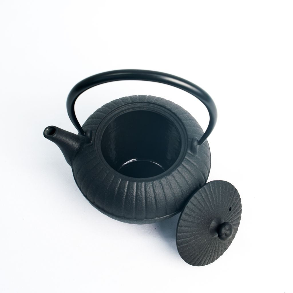 Nambu Ironware Teapot "Tsubomi gata Chabatake 0.6L"