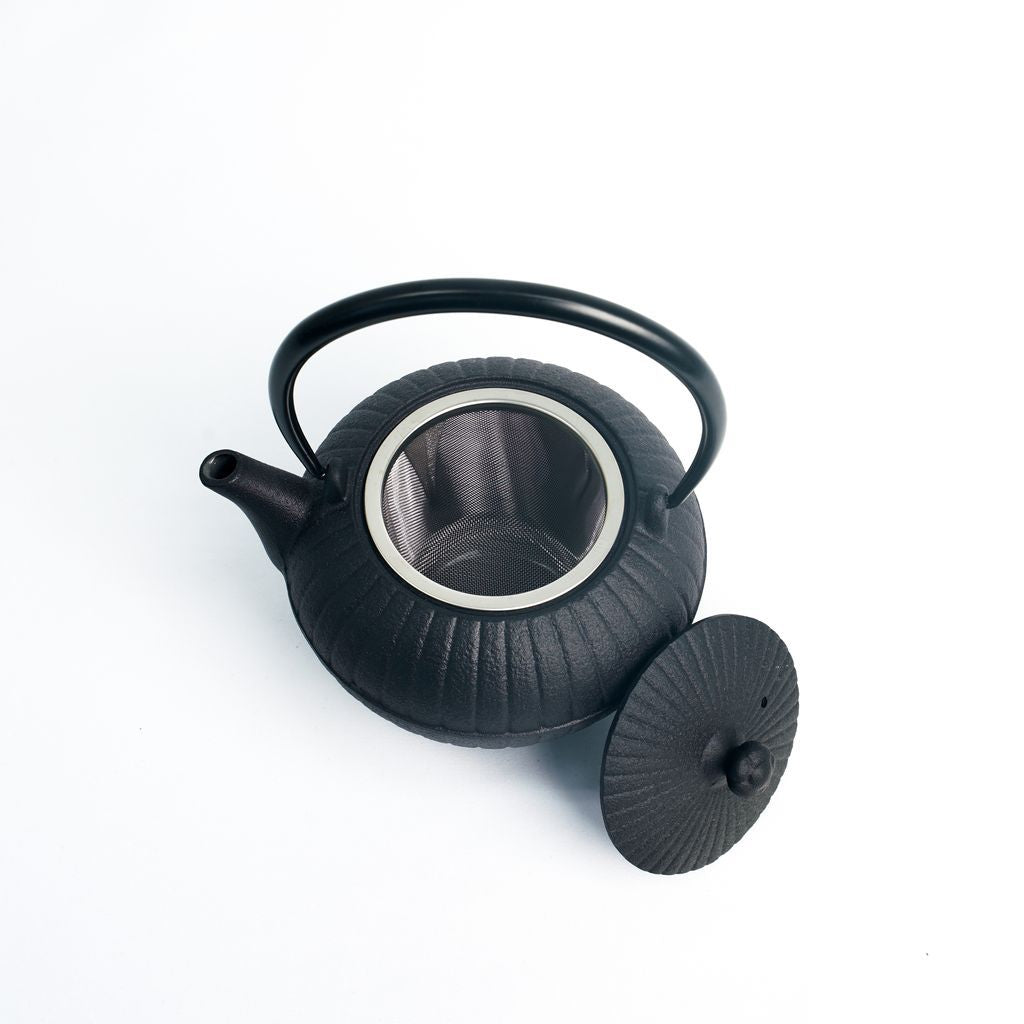 Nambu Ironware Teapot "Tsubomi gata Chabatake 0.6L"
