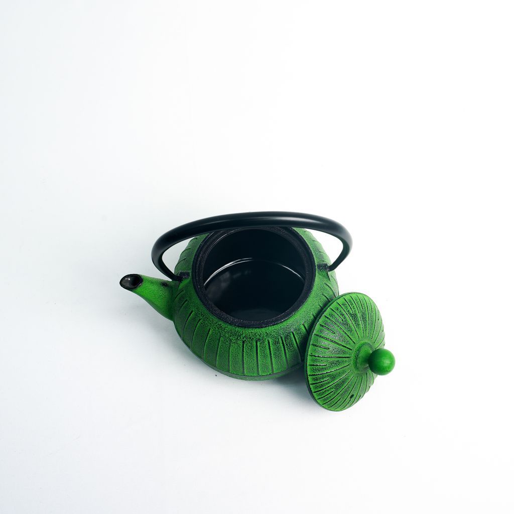 Nambu Ironware Teapot "Chigusa Wakakusa 0.55L"