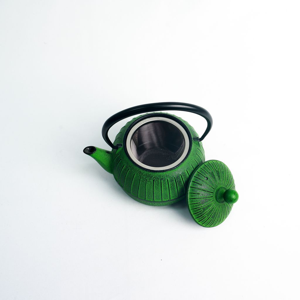 Nambu Ironware Teapot "Chigusa Wakakusa 0.55L"