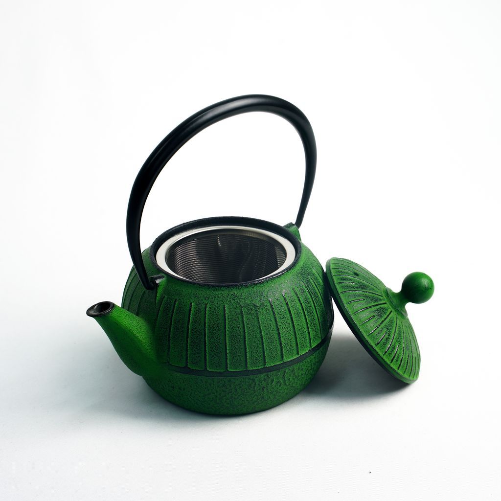 Nambu Ironware Teapot "Chigusa Wakakusa 0.55L"