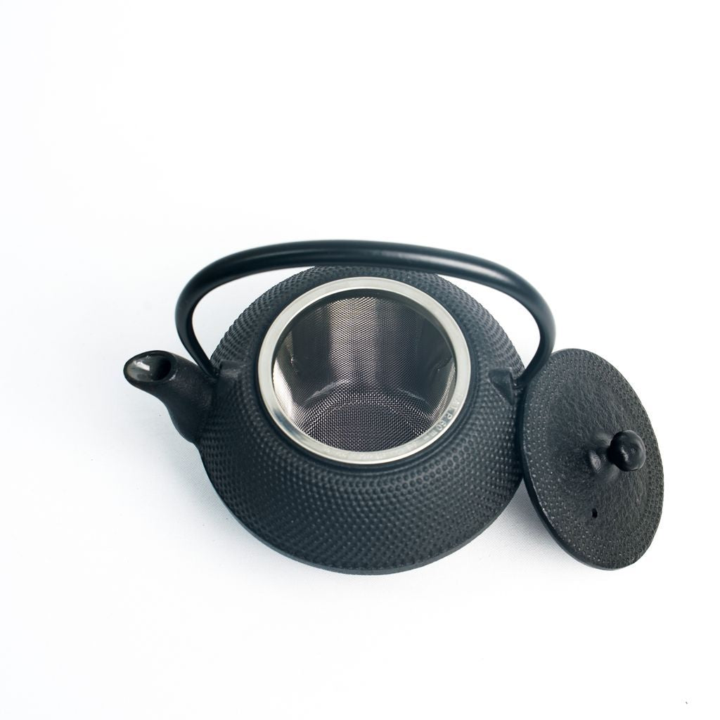 Nambu Ironware Teapot "Maromi Arare 0.35L"