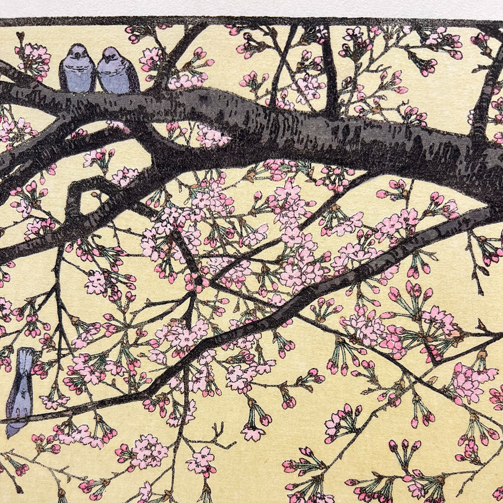 Woodblock print "Cherry Blossom" by Yoshida Toshi Published by Yoshida Studio