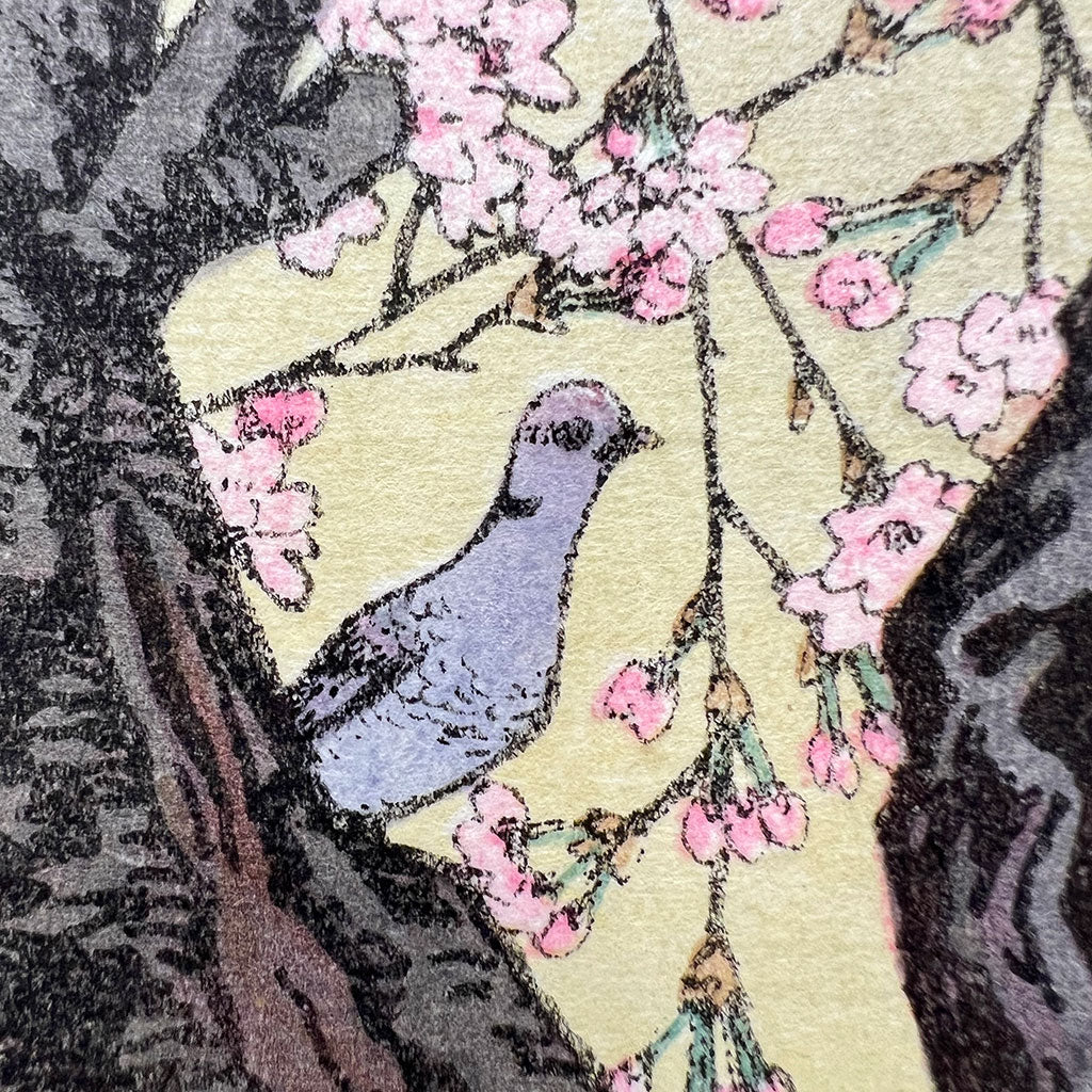 Woodblock print "Cherry Blossom" by Yoshida Toshi Published by Yoshida Studio