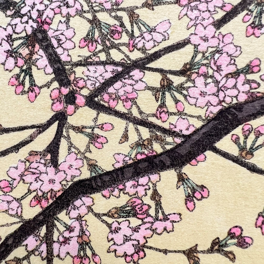 Woodblock print "Cherry Blossom" by Yoshida Toshi Published by Yoshida Studio