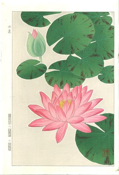 Woodblock print "F57 Water lily (Red)" by Kawarazaki Shodou Published by UNSODO