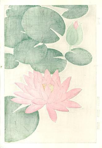 Woodblock print "F57 Water lily (Red)" by Kawarazaki Shodou Published by UNSODO