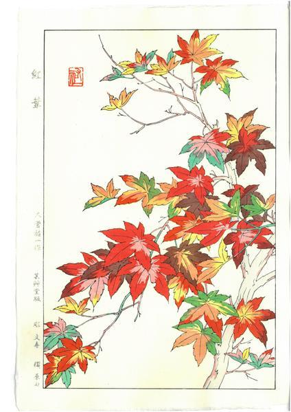 Woodblock print "Japanese Maple" by Osuga Yuichi Published by UNSODO