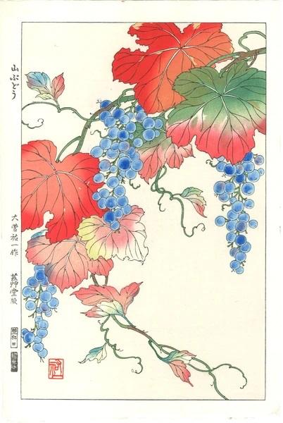 Woodblock print "Wild grapes" by Osuga Yuichi Published by UNSODO