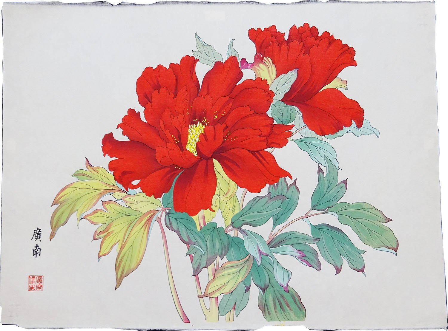 Woodblock print "Peony" by Tanigami Konan Published by UNSODO