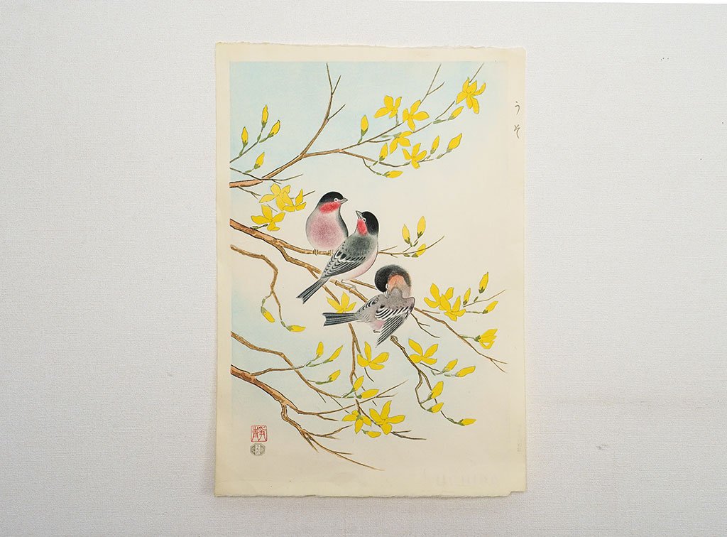 Woodblock print "Bullfinch" by Ashikaga Shizuo Published by UCHIDA ART