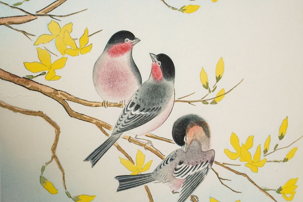 Woodblock print "Bullfinch" by Ashikaga Shizuo Published by UCHIDA ART