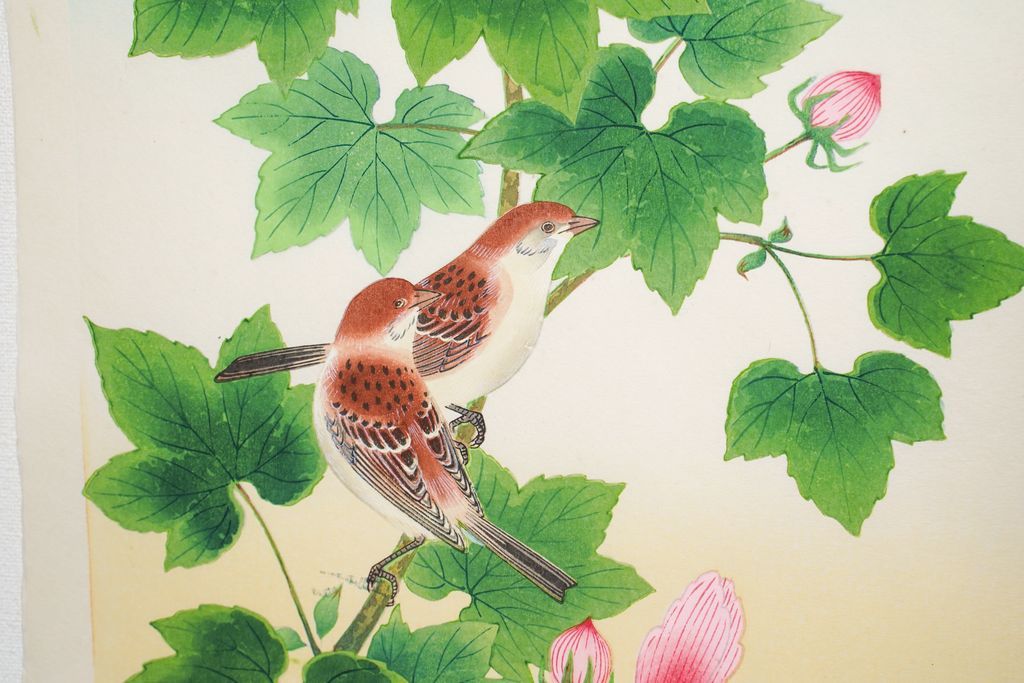 Woodblock print "Sparrow and by Hibiscus mutabilis " by Ashikaga Shizuo Published by UCHIDA ART