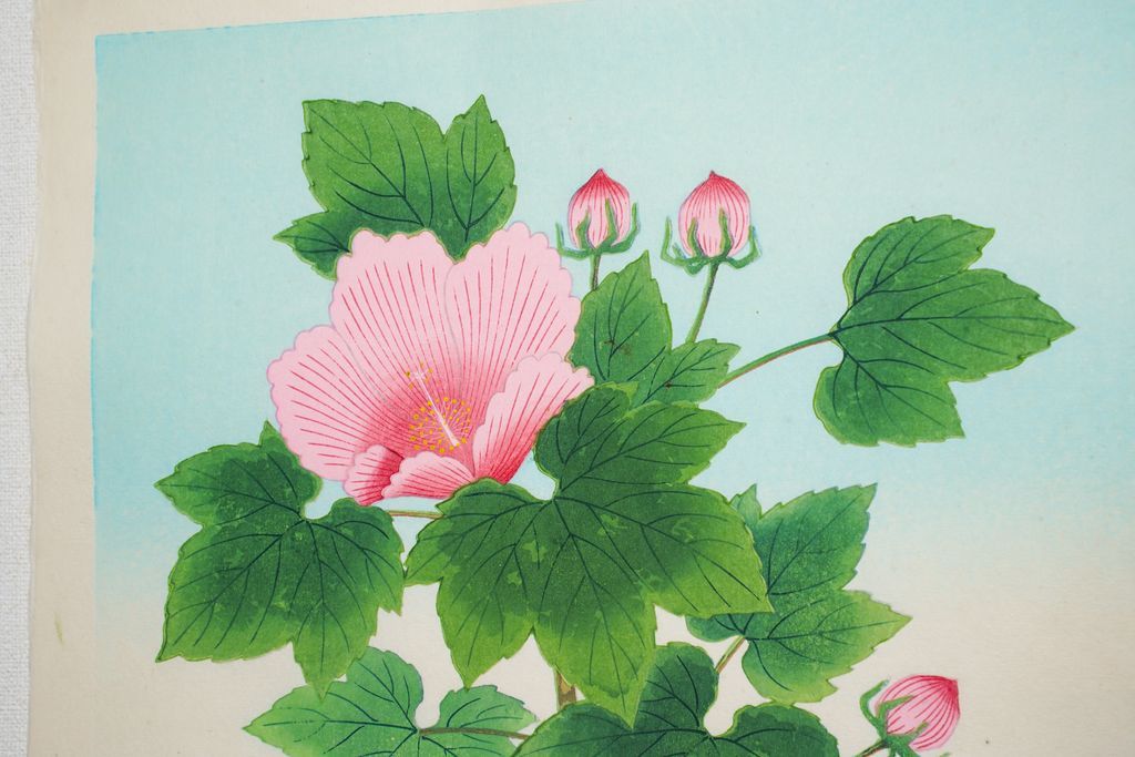 Woodblock print "Sparrow and by Hibiscus mutabilis " by Ashikaga Shizuo Published by UCHIDA ART