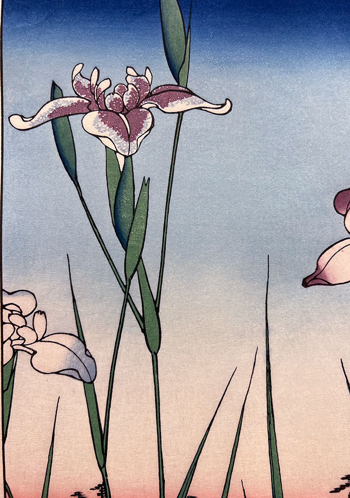 Woodblock print "View No.64 Iris in Horikiri park" by HIROSHIGE Published by UCHIDA art