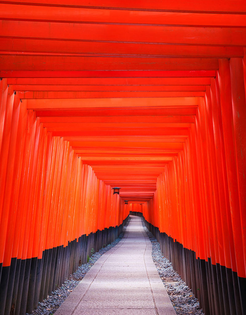 Scarf by Photographer Mizuno Katsuhiko●