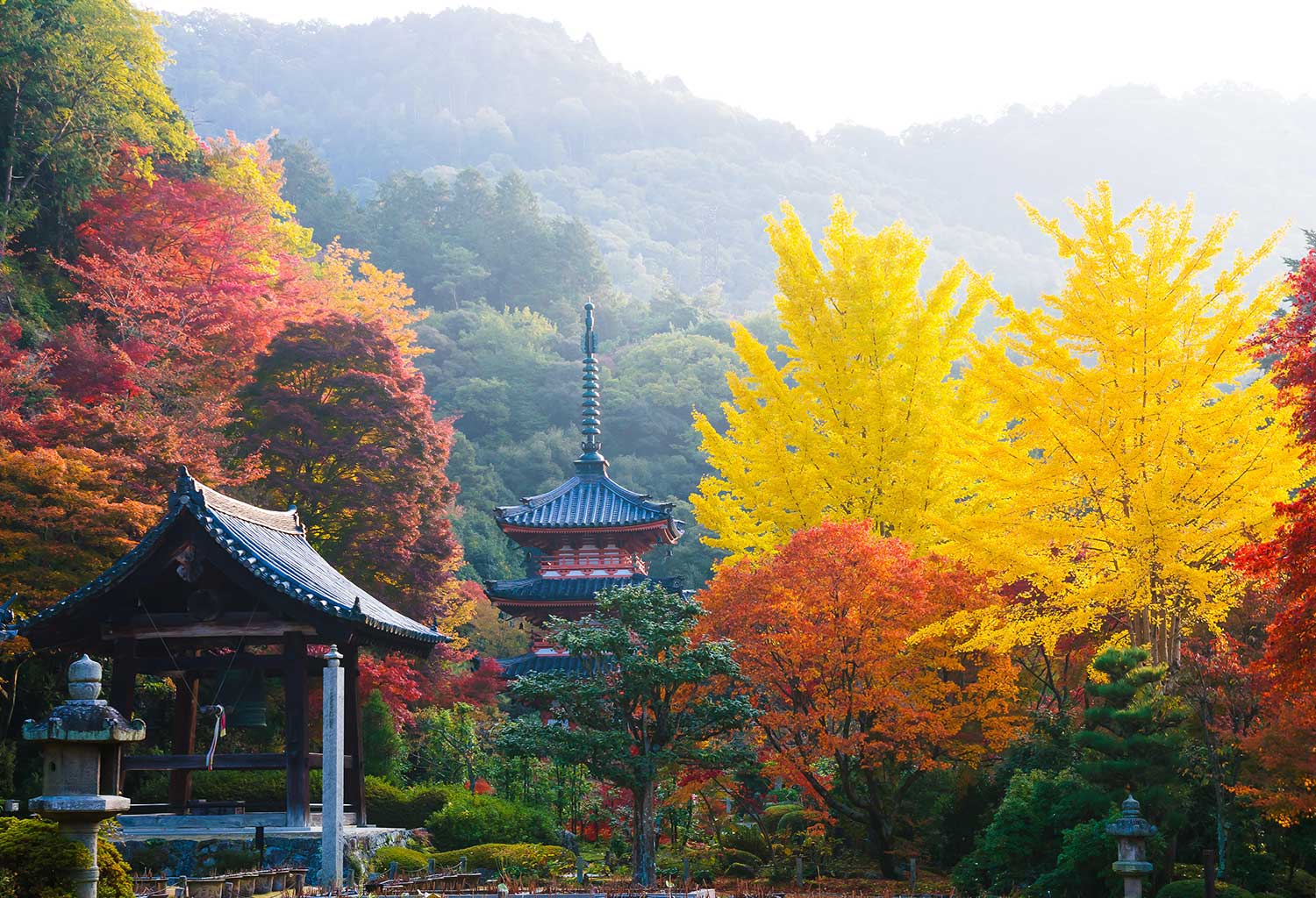 Scarf by Photographer Mizuno Katsuhiko●