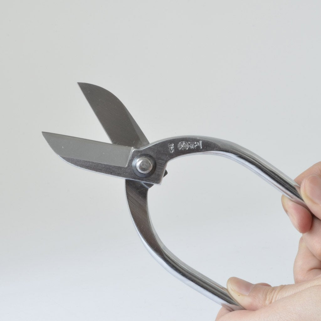 Scissors Flower scissors "Ikebana hasami betsujo chromium 165mm"