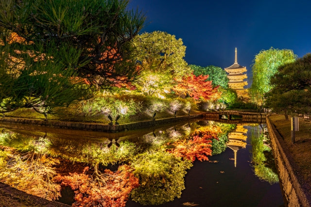 Falling in Love with Kyoto's Autumn Splendor