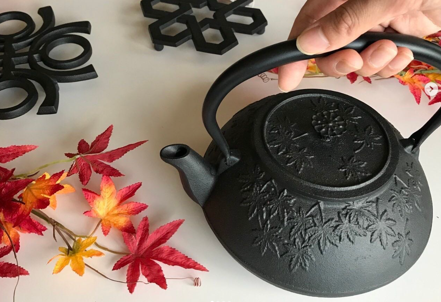 Authentic Nanbu Tekki: Japanese Cast Iron Kettles & Teapots