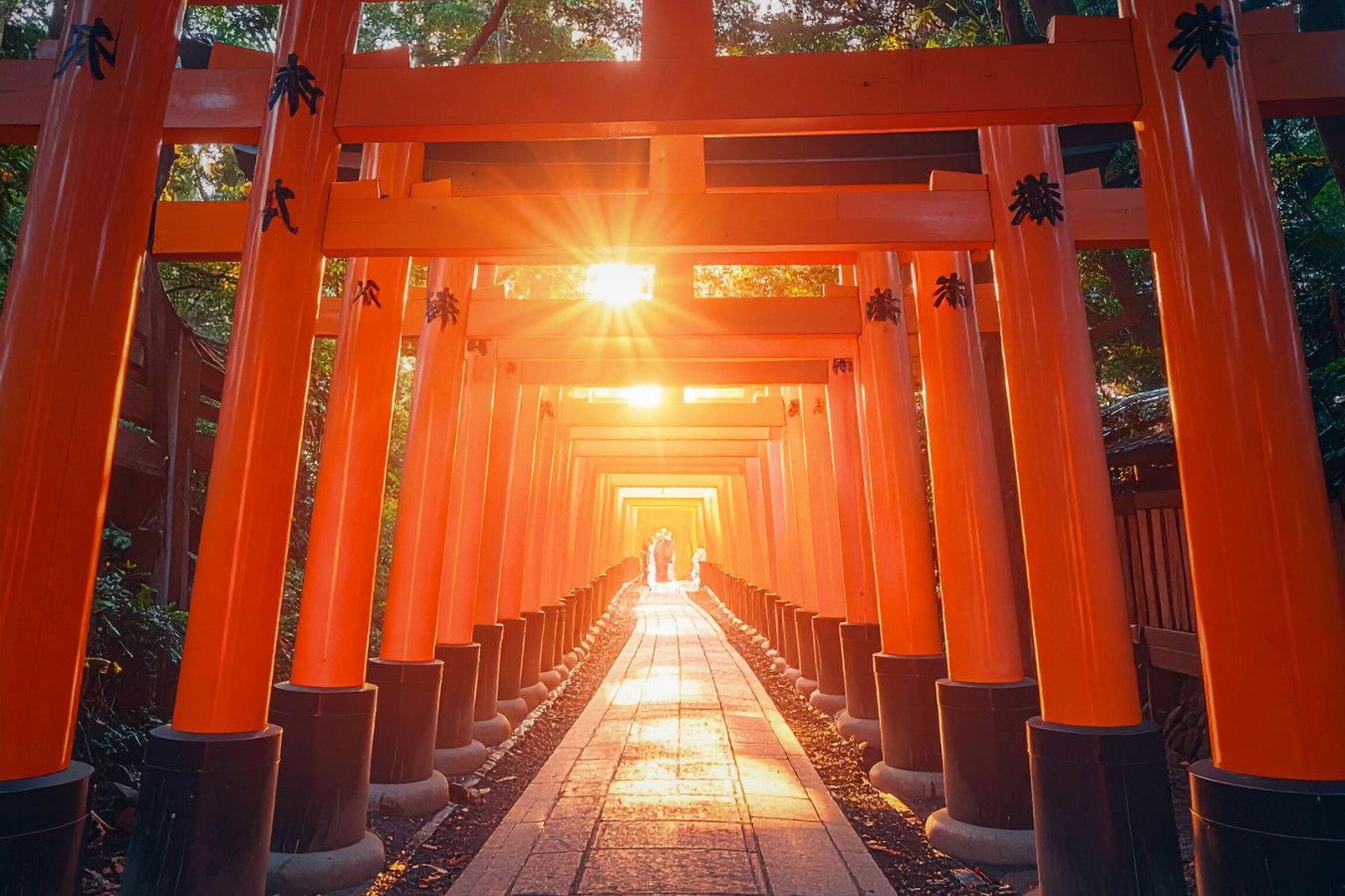 The Japanese New Year: A Quiet Beginning Rooted in Stillness