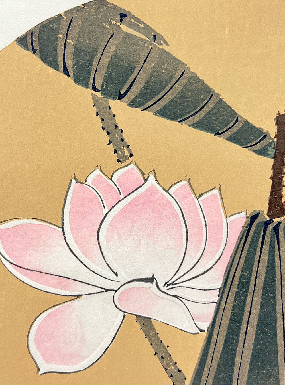 Woodblock printing "Lotus" by Jakuchu Ito Published by UNSODO