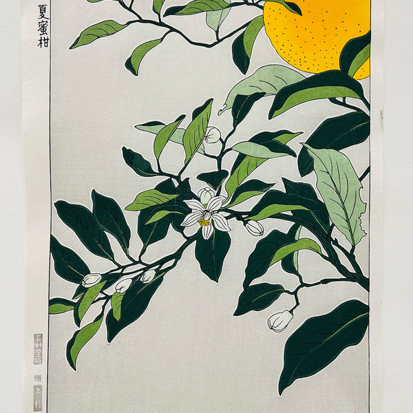 20250219_1_600x600_crop_center