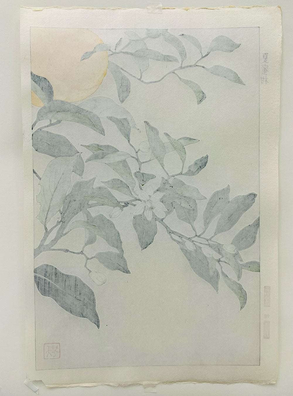 Woodblock printing "Summer mandarin oranges" by Kuzuhara Teru Published by UNSODO