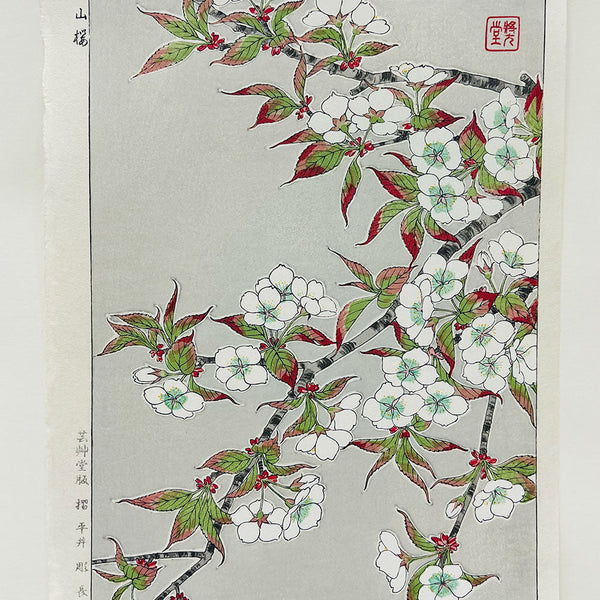 20250220_1_600x600_crop_center