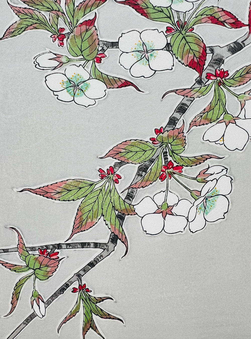 Woodblock printing "Cherry blossom" by Kawarazaki Shodo  Published by UNSODO