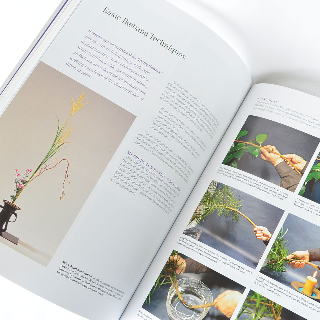The Art of Ikebana Set