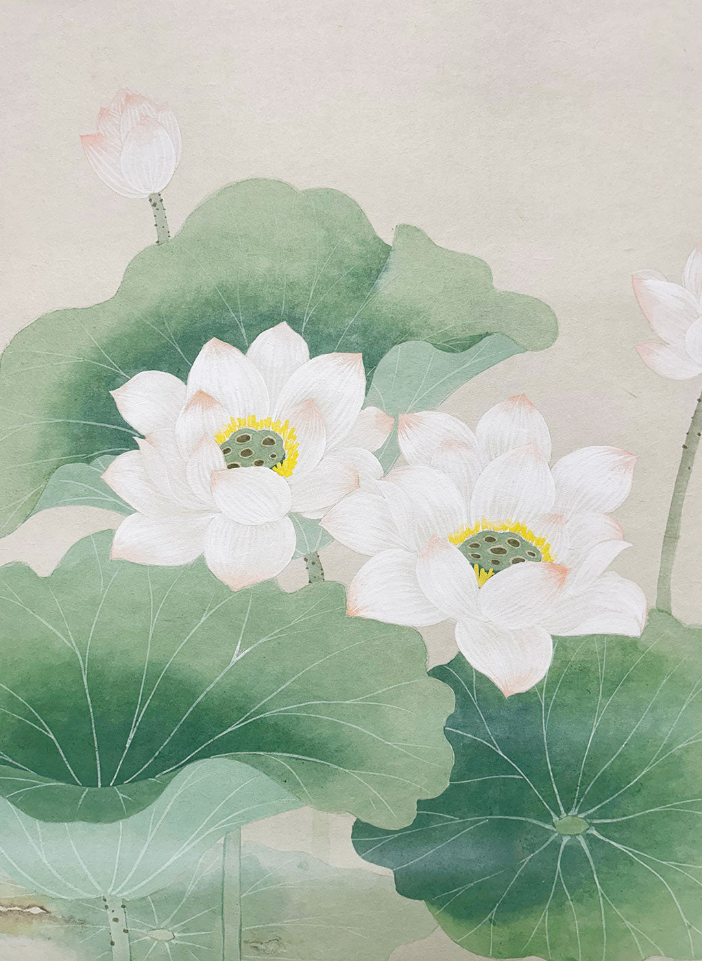 Japanese Hanging Scroll Kakejiku Ikko Terada "Lotus Flowers"