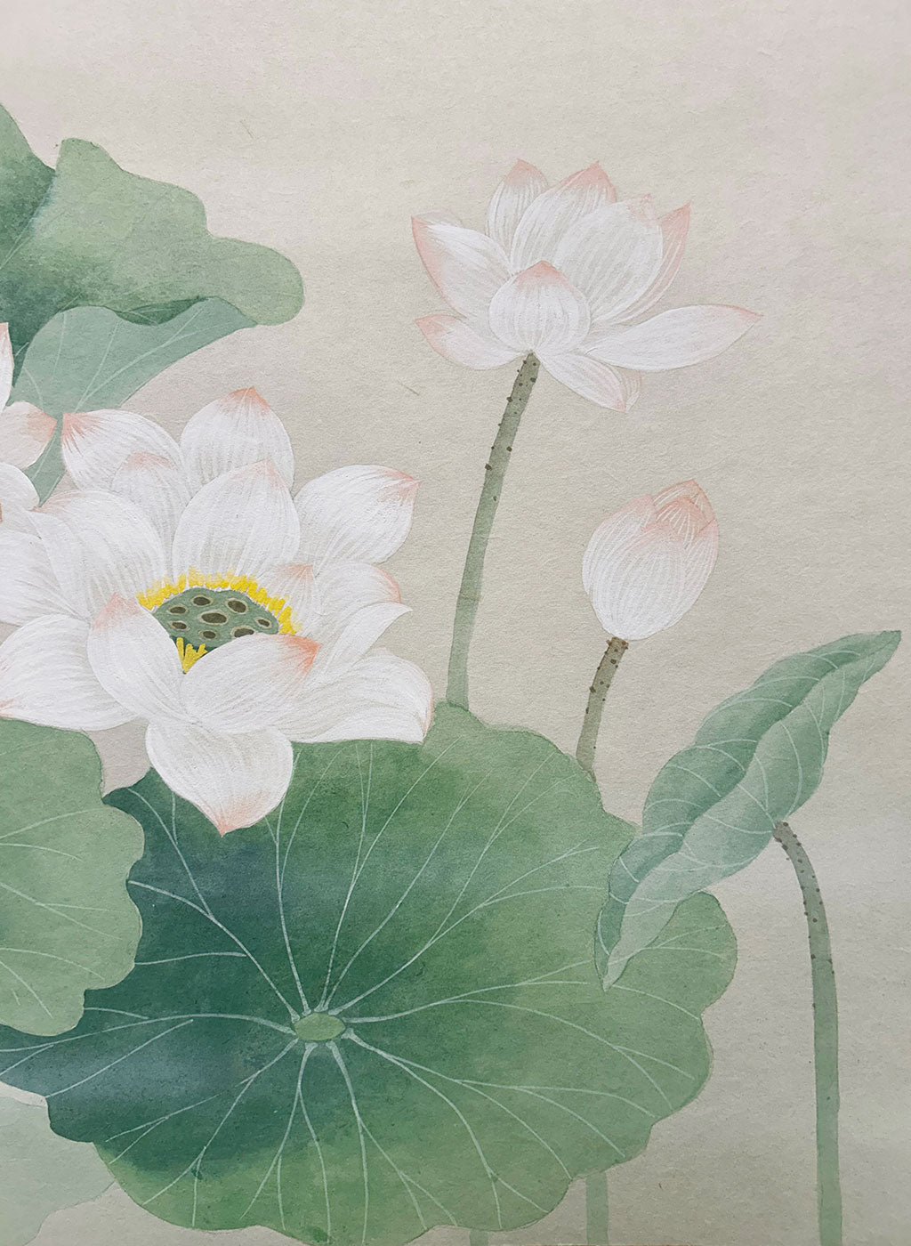 Japanese Hanging Scroll Kakejiku Ikko Terada "Lotus Flowers"