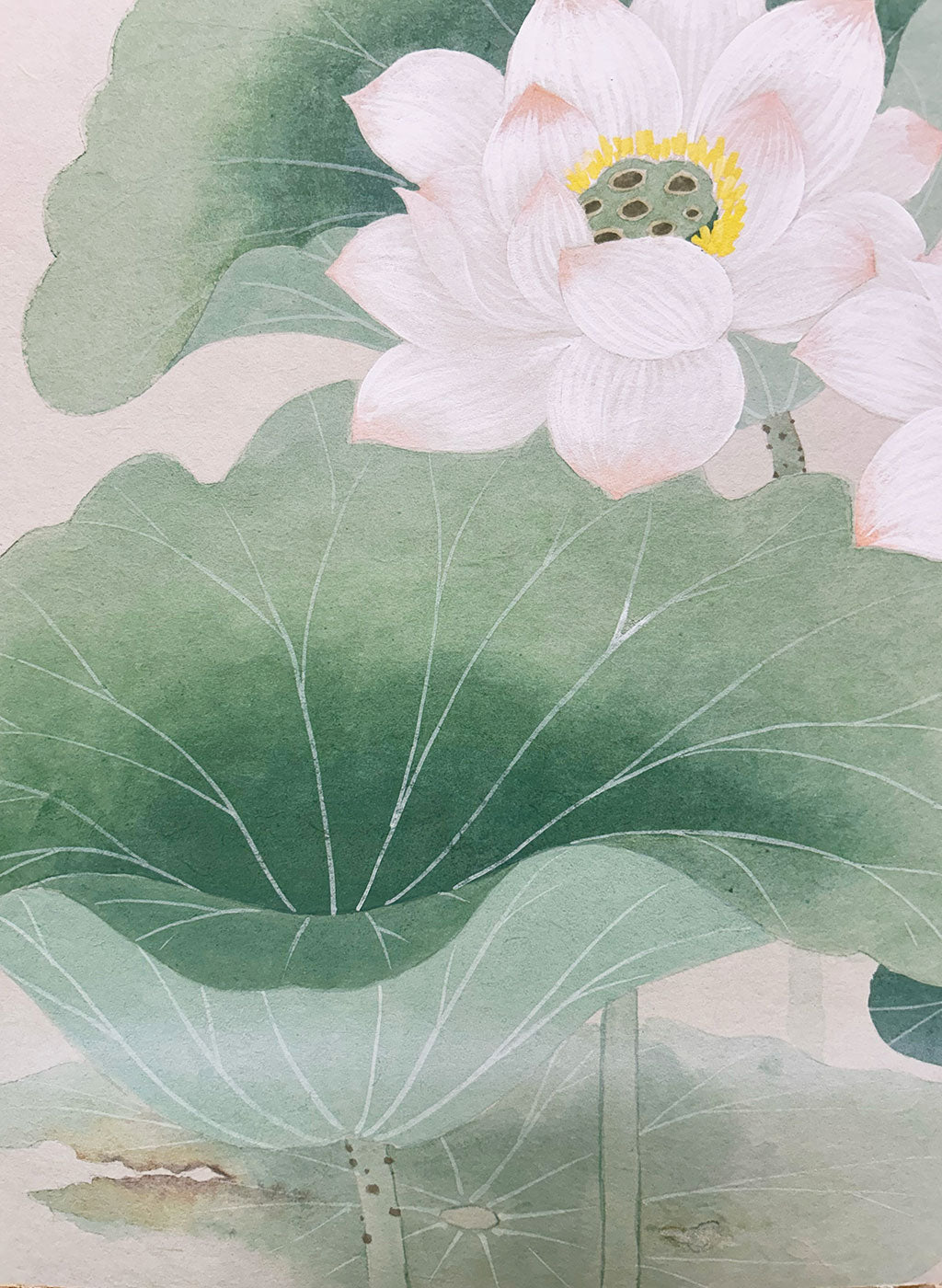 Japanese Hanging Scroll Kakejiku Ikko Terada "Lotus Flowers"