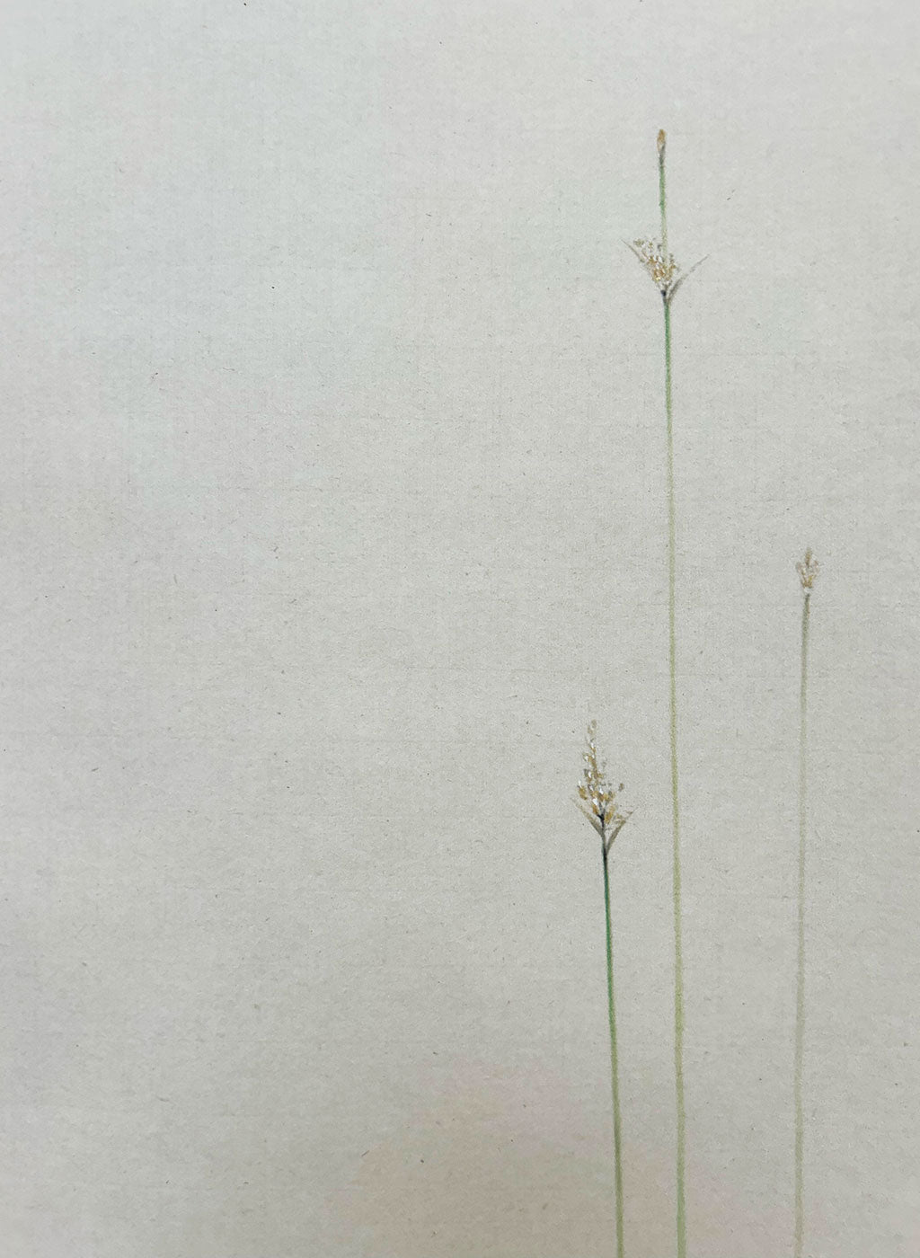 Japanese Hanging Scroll Kakejiku Keizo Sato "Kingfisher"