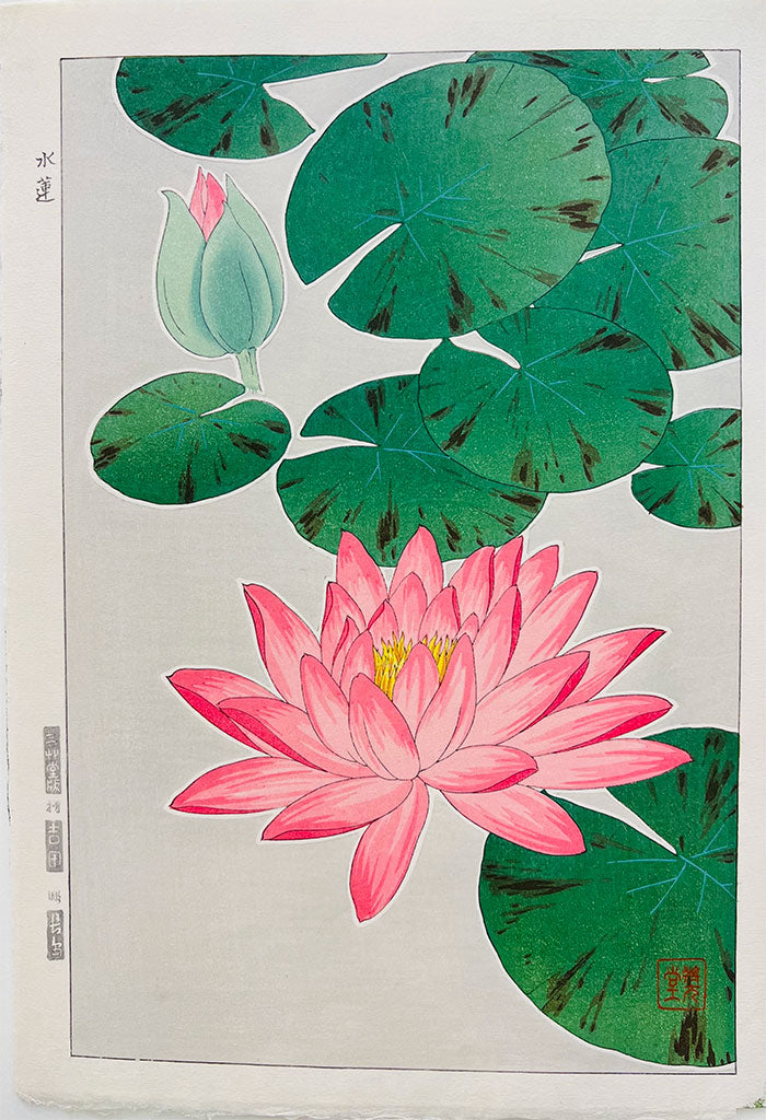 Woodblock print "F57 Water lily (Red)" by Kawarazaki Shodou Published by UNSODO