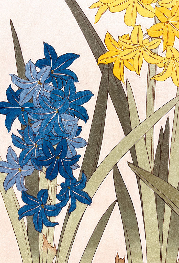 Woodblock print "F072 Hyacinth" by Kawarazaki Shodou Published by UNSODO
