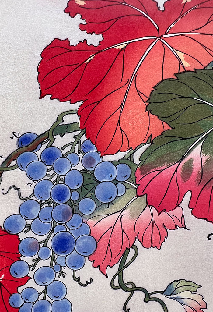 Woodblock print "Wild grapes" by Osuga Yuichi Published by UNSODO