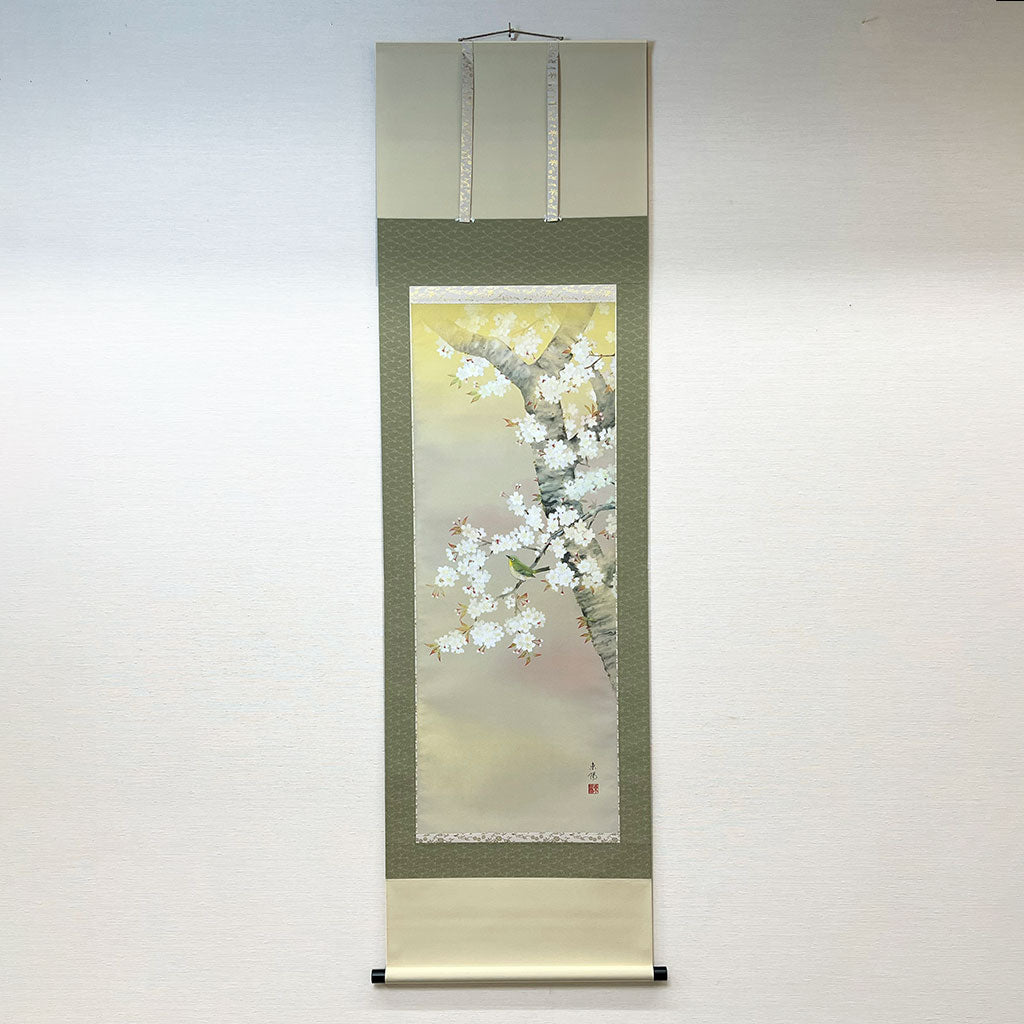 Japanese Hanging Scroll Kakejiku Toyo Kawamura "Cherry Blossoms with a Bird"