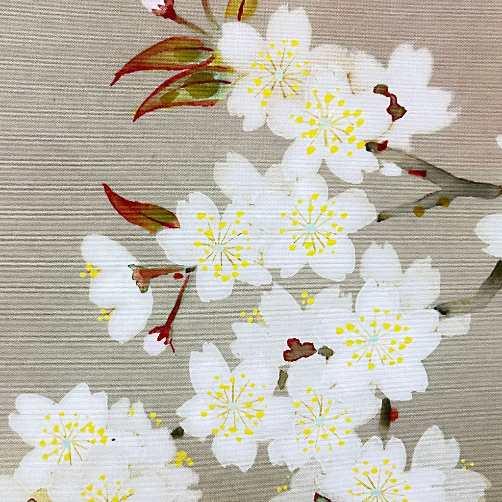 Japanese Scroll Kakejiku Toyo Kawamura "Cherry blossoms with a Bird"