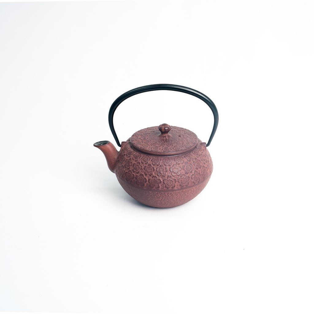 Kyusu Japanese Tea pot kettle Nanbu Cast Iron Autumn Leaves