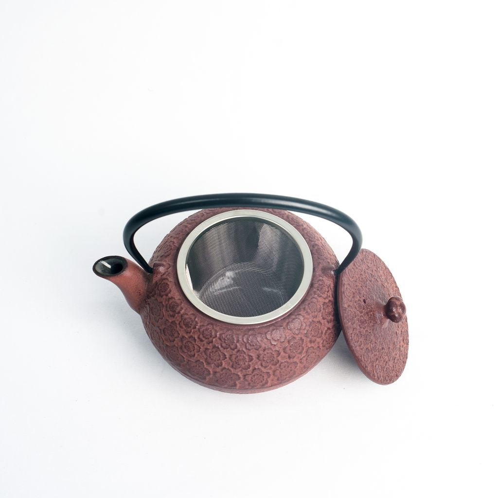 Nambu Ironware Teapot "Maromi Sakura 0.65L"