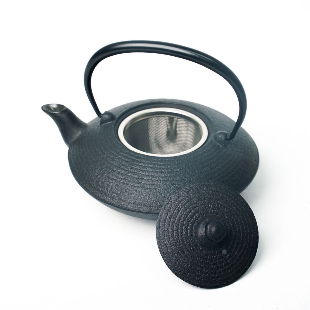 Nambu Ironware Teapot "Hiragataitome 0.4L"