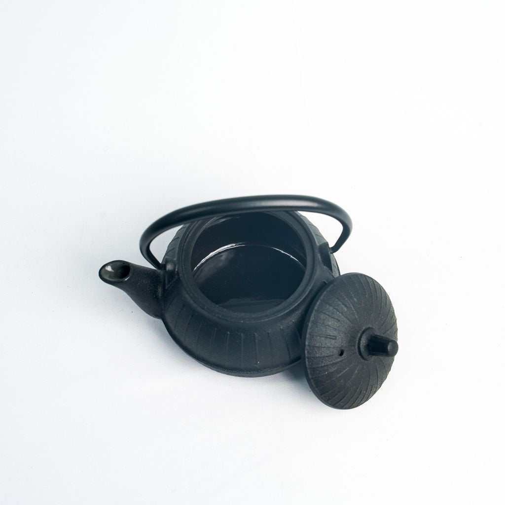 Nambu Ironware Teapot "Chigusa 0.25L"