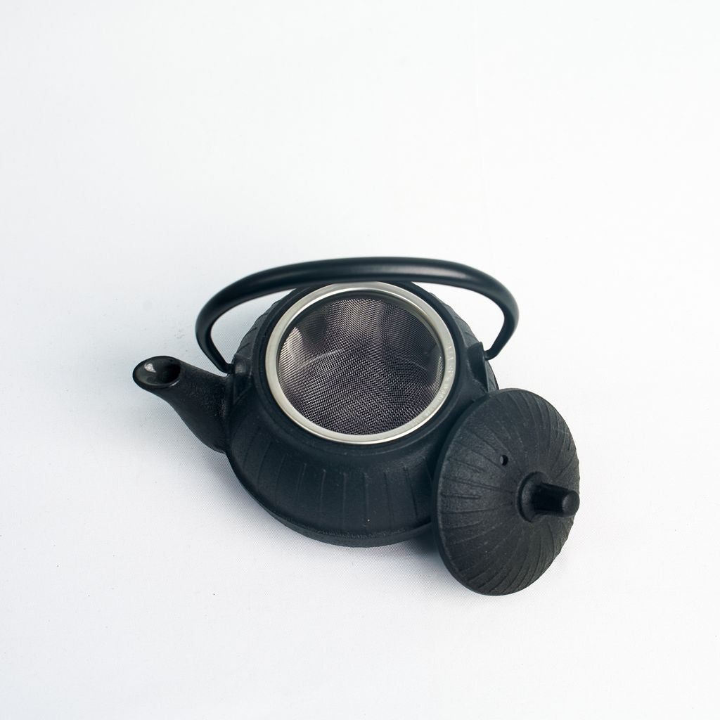Nambu Ironware Teapot "Chigusa 0.25L"