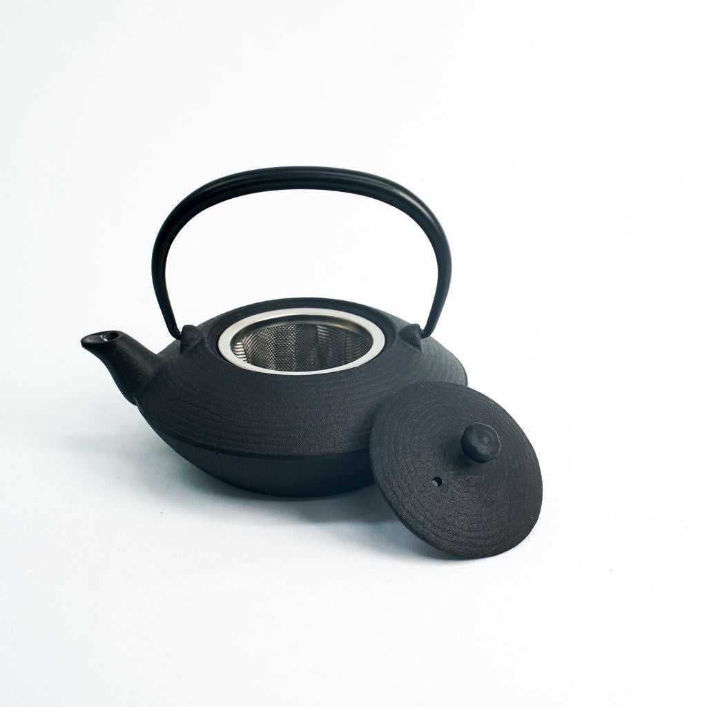 Nambu Ironware Teapot "Hiragataitome 0.2L"