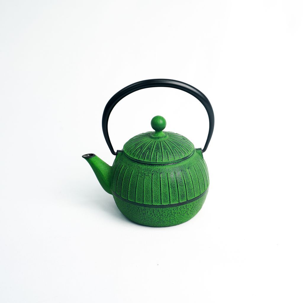 Nambu Ironware Teapot "Chigusa Wakakusa 0.55L"