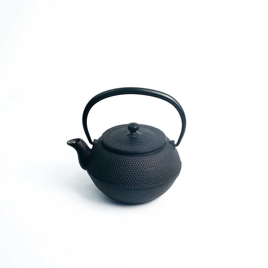 Ikenaga Ironwork Nambu Ironware Iron Kettle, Made in Japan, 0.4 gal (1.4  L), Compatible with Induction and Gas Stoves, Tea Container, Iron  Supplement