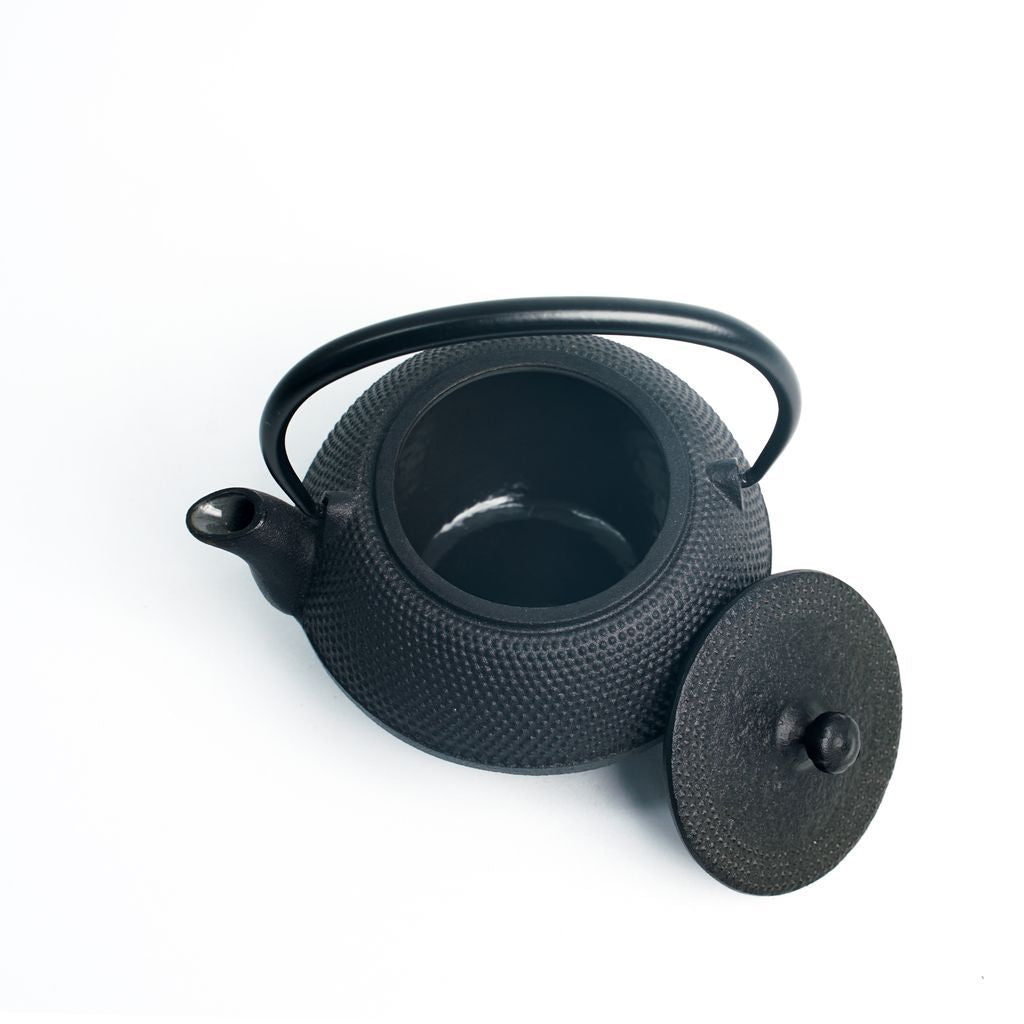 Nambu Ironware Teapot "Maromi Arare 0.35L"