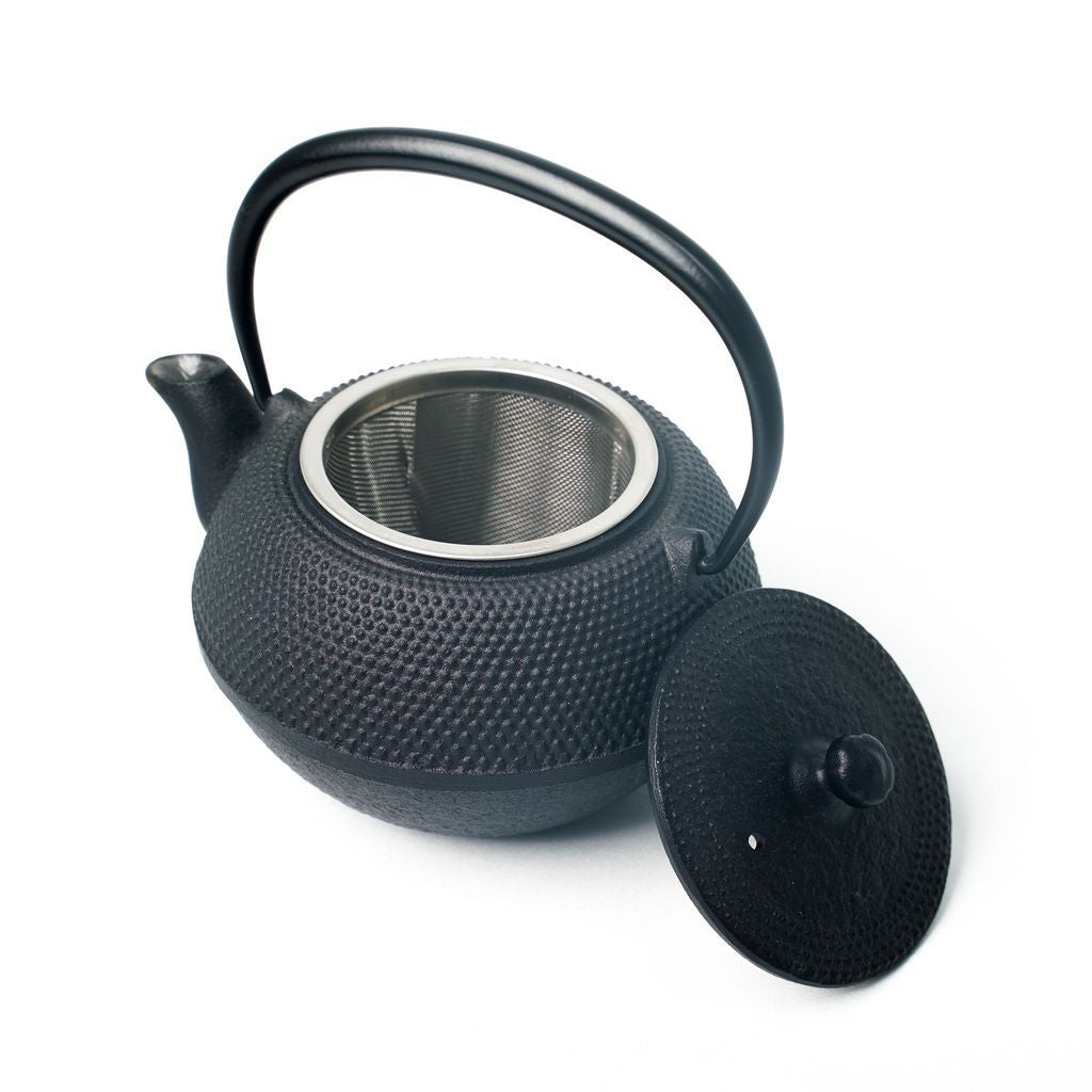 Nambu Ironware Teapot "Maromi Arare 0.35L"